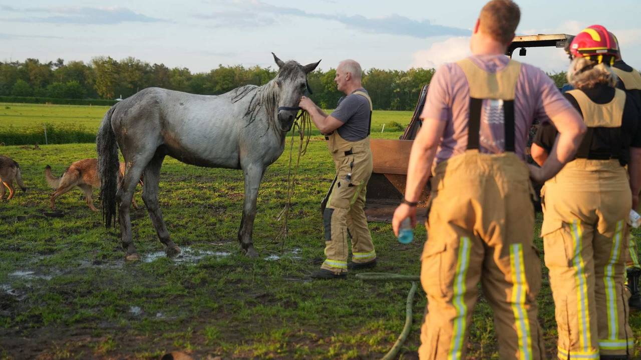 Beeld: WdG/SQ Vision.