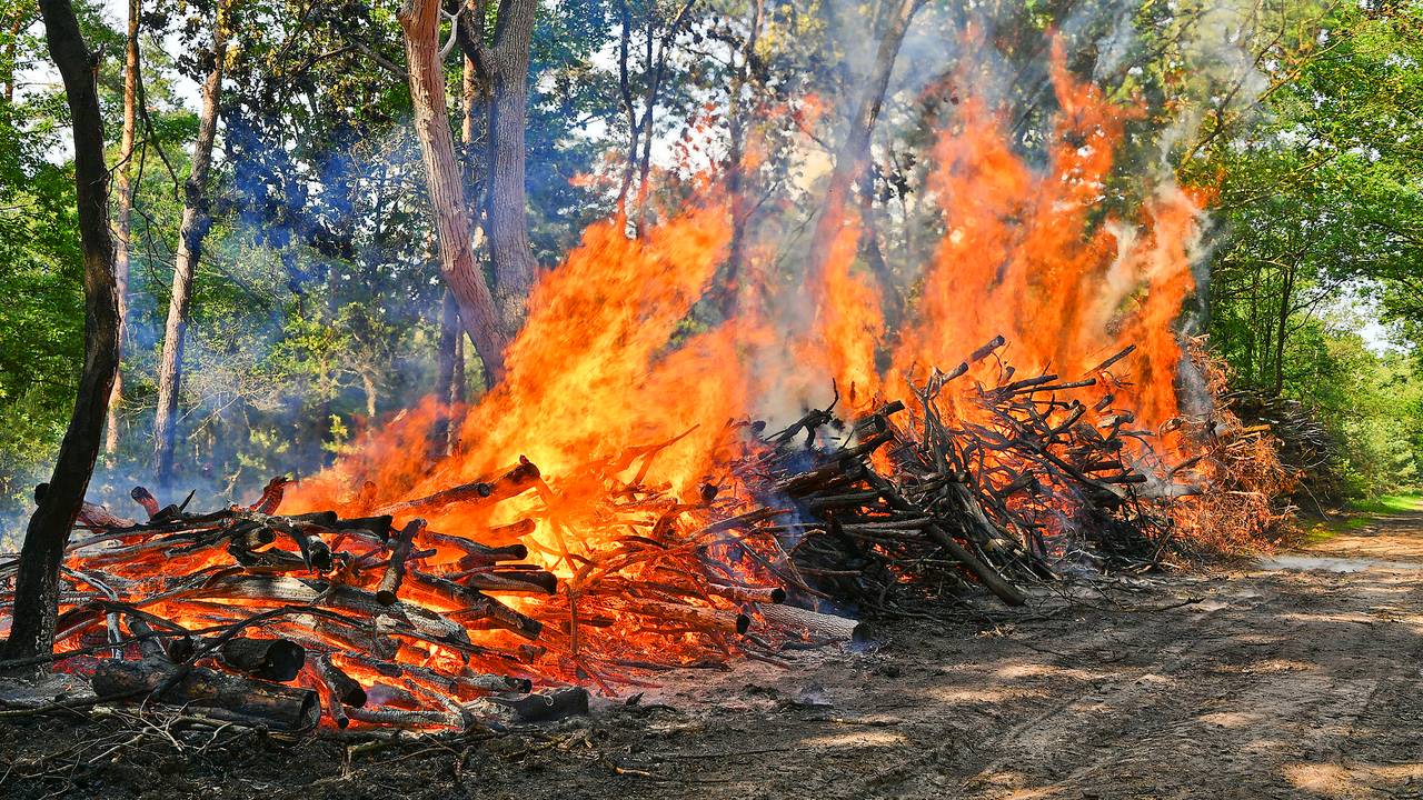 Foto: Rico Vogels/SQ Vision.