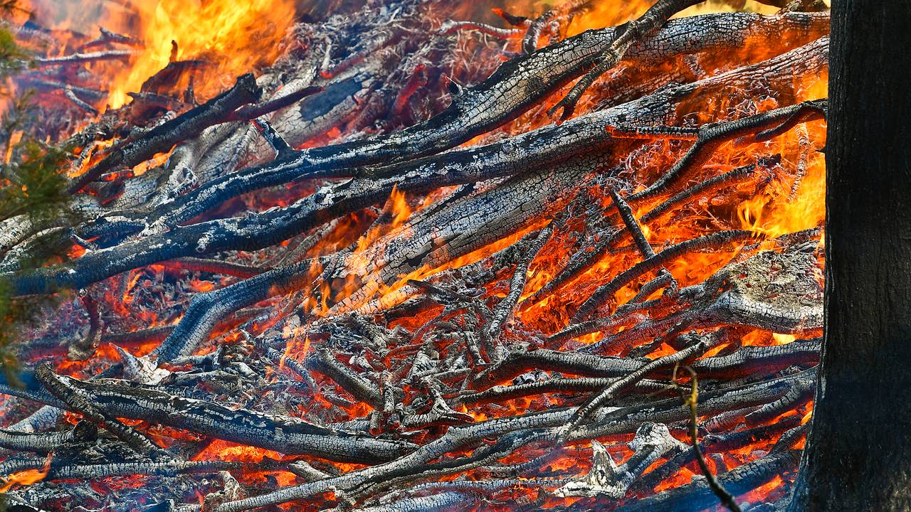 Foto: Rico Vogels/SQ Vision.