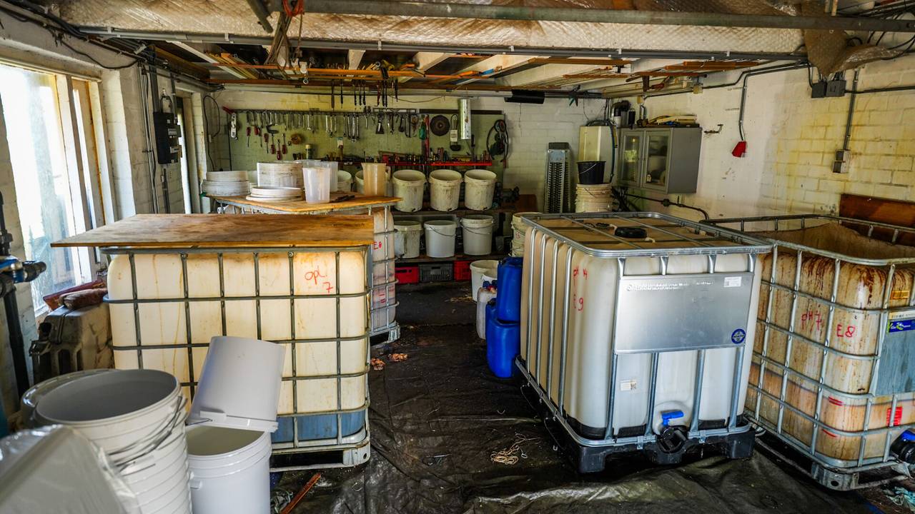 Foto: Dave Hendriks/SQ Vision.