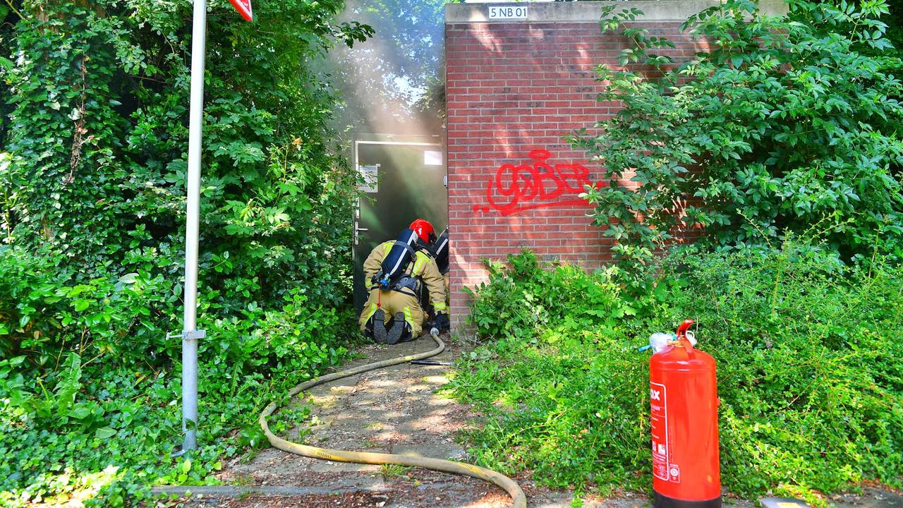 Foto: Rico Vogels/SQ Vision.