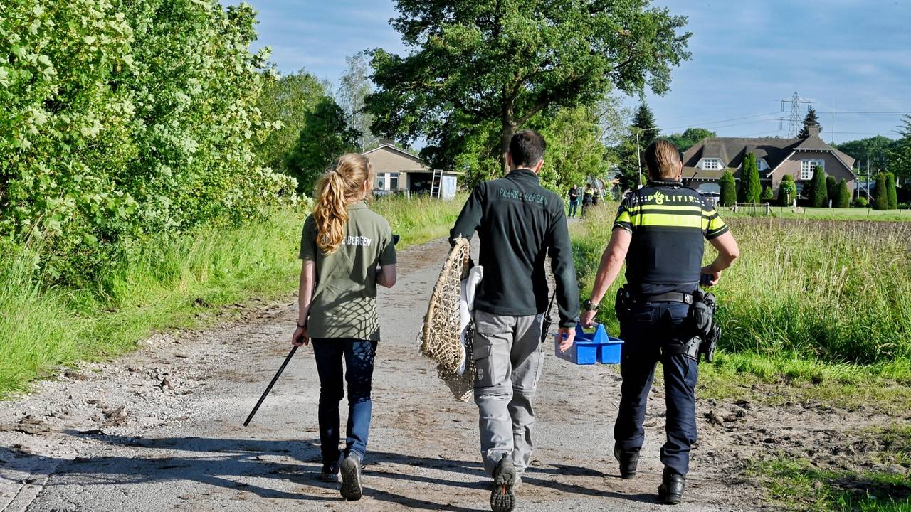 Foto: Toby de Kort/SQ Vision