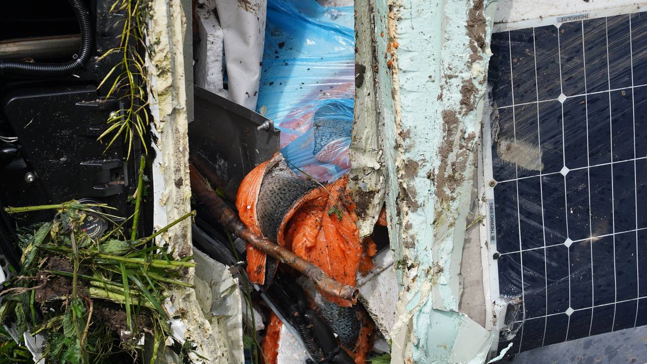 De vrachtauto vervoerde zalm (foto: SQ Vision/Jeroen Stuve).