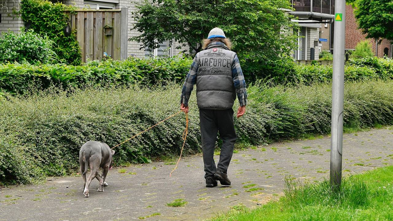 Uiteindelijk lukte het en kon de buurman van het baasje het dier meenemen (foto: SQ Vision/Rico Vogels).