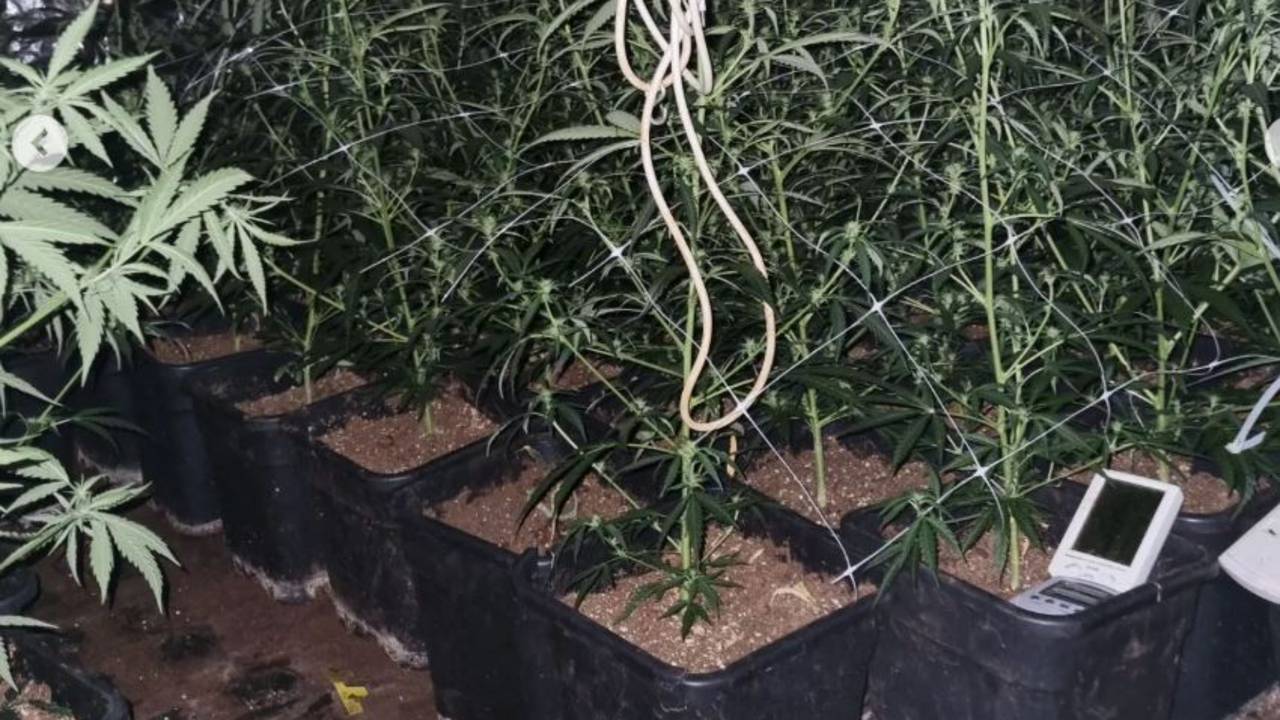 Foto: politie_boxtelvughtgestel