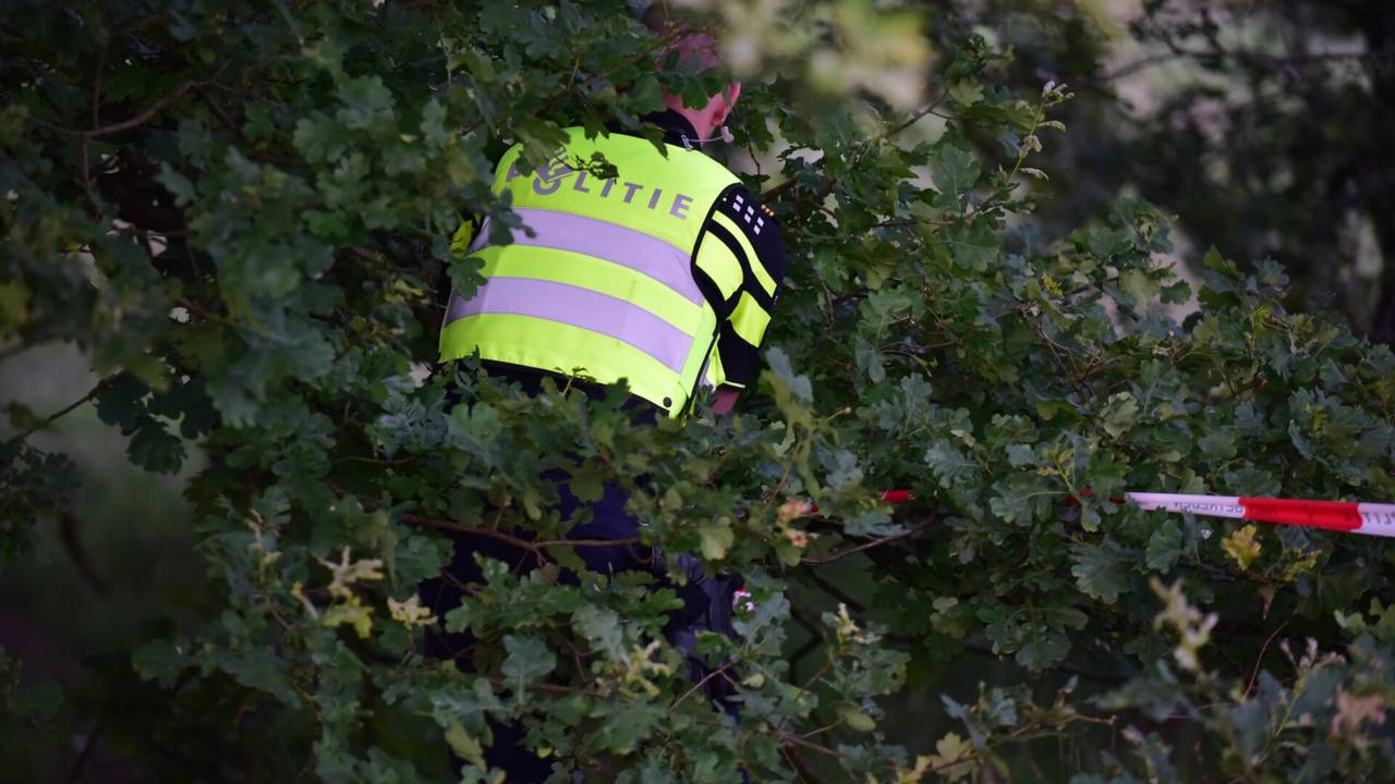 Foto: Johan Bloemers/SQ Vision