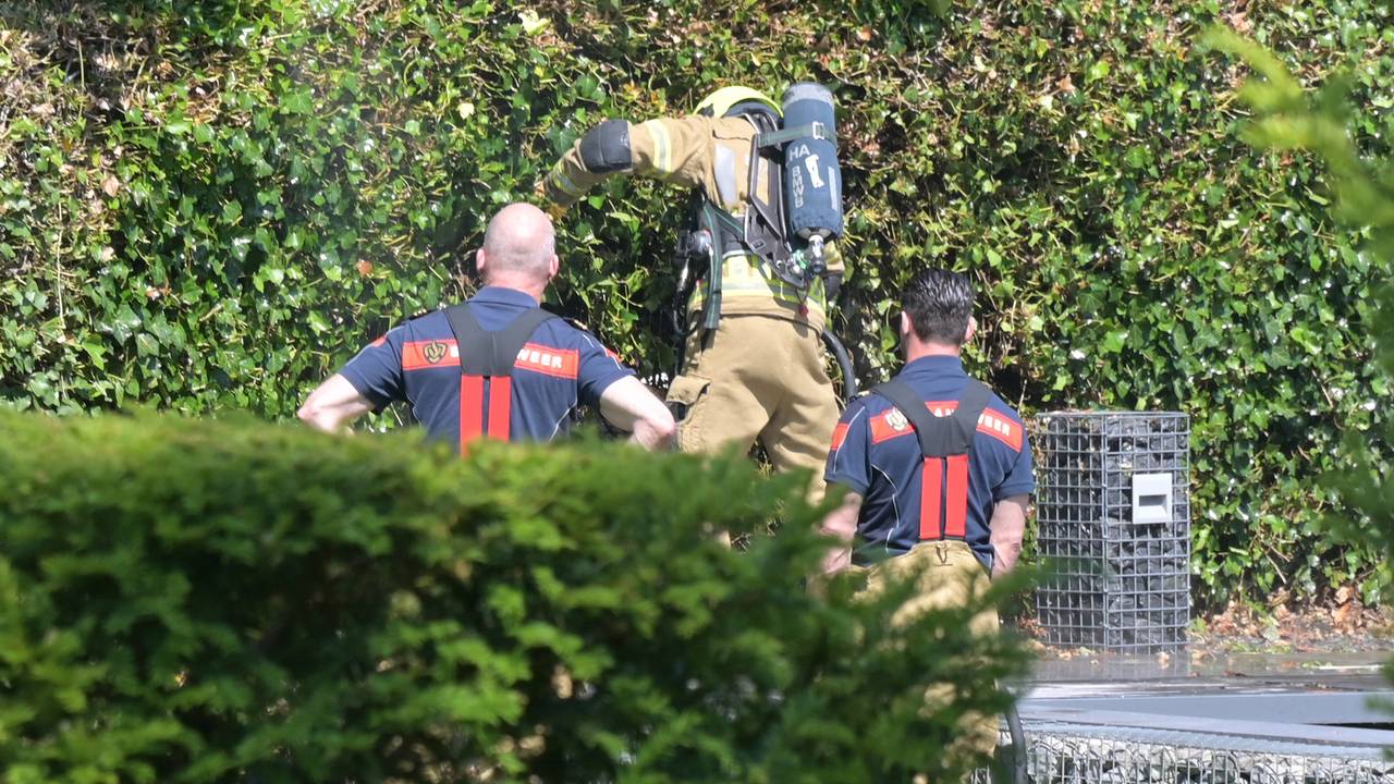 Het is niet duidelijk hoe de heg in brand kon vliegen (foto: SQ Vision/Perry Roovers).