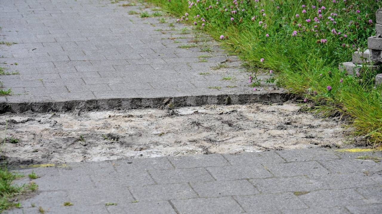 Foto: Tom van der Put/SQ Vision.