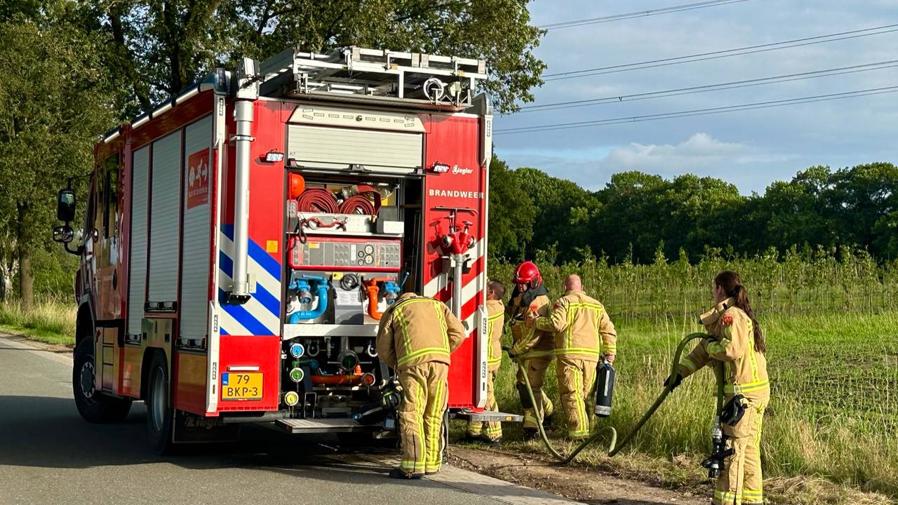 Foto: Sander van Gils/SQ Vision