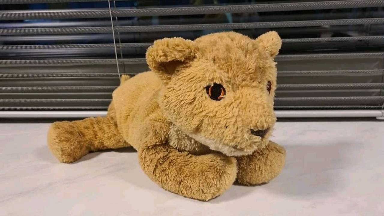 De gevonden leeuw (foto X: politie basisteam Peelland).