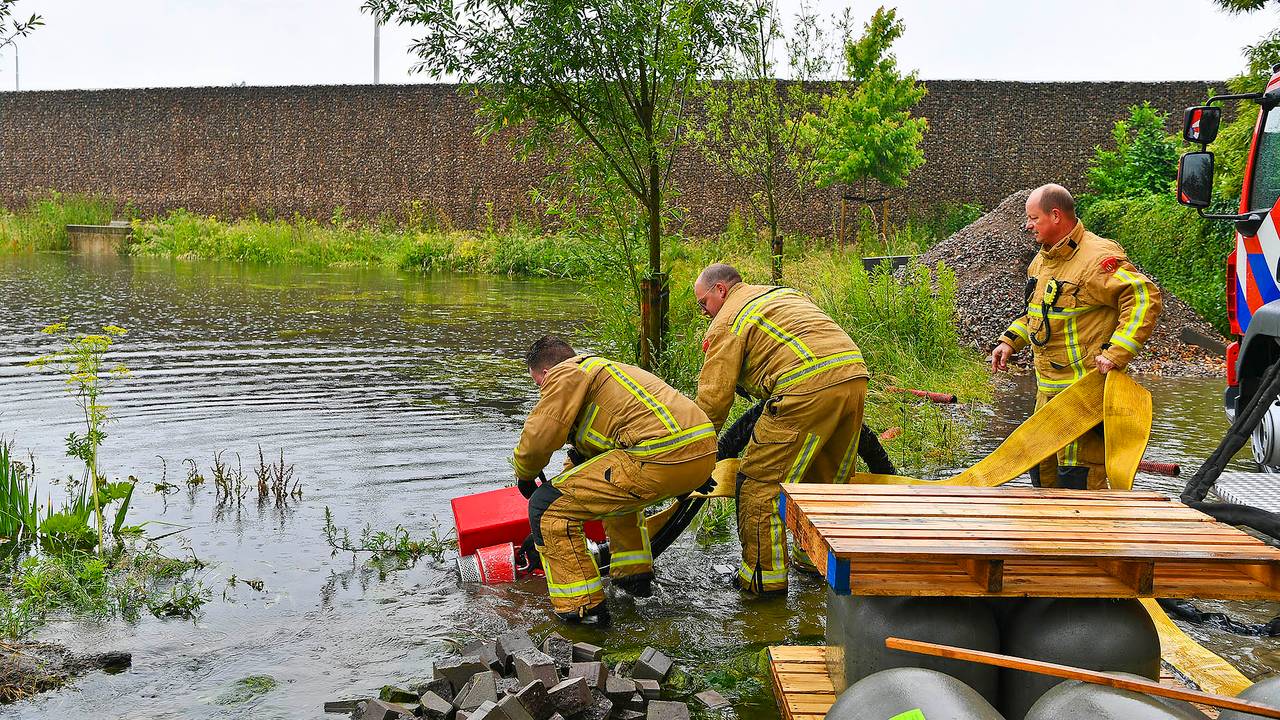 Foto: Rico Vogels / SQ Vision