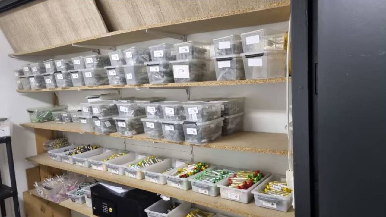 Deze spullen vond de politie bij het tweetal (foto: politie).