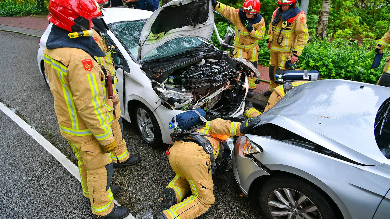 Foto: Rico Vogels / SQ Vision