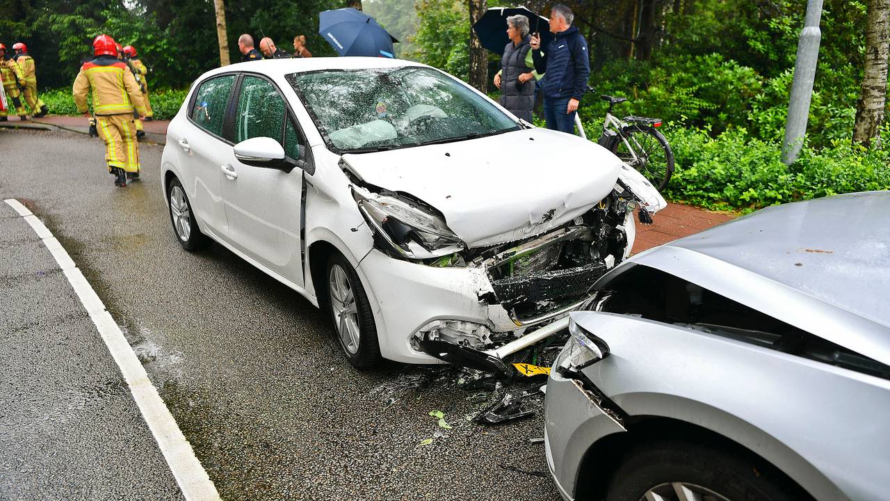 Foto: Rico Vogels / SQ Vision