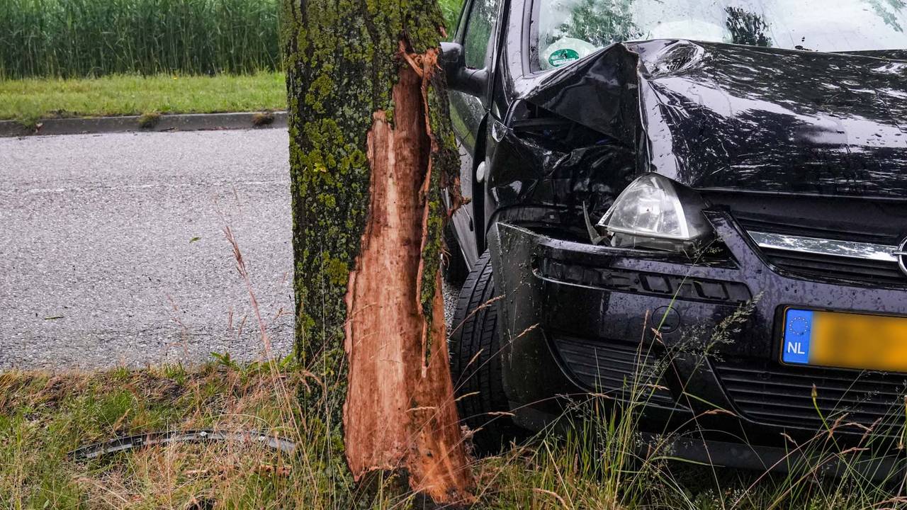 Een vrouw botste tegen een boom in Helmond (foto: Harrie Grijseels / SQ Vision).