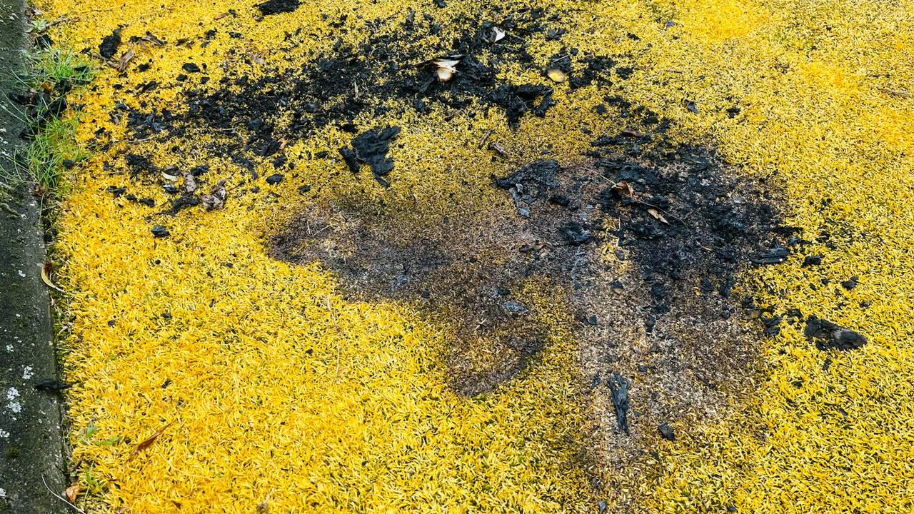 foto: Gabor Heeres / SQ Vision. 