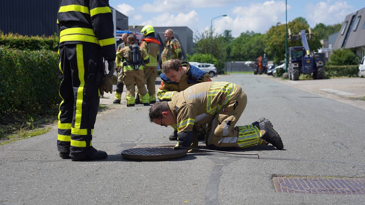 foto: Jeroen Stuve/SQ Vision. 