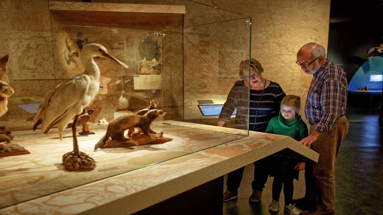 Maar liefst 12.500 extra museumkaartjes komen beschikbaar voor basisschoolkinderen (foto: ANP)