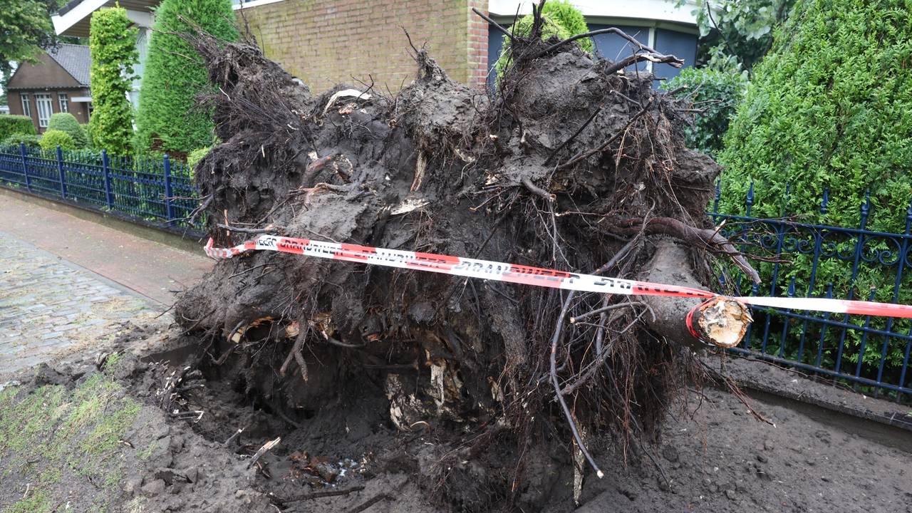 Foto: Sander van Gils/SQ Vision.