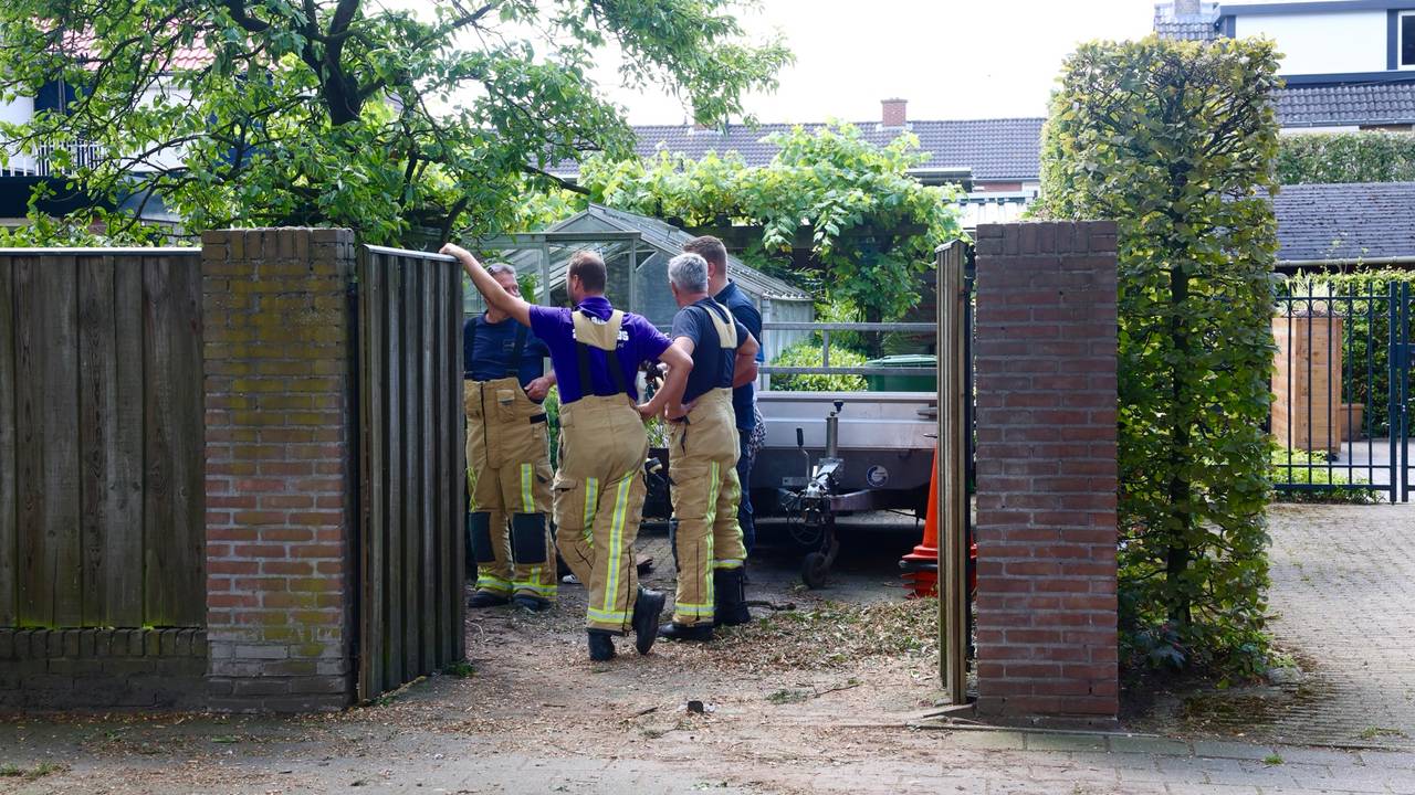 Foto: Sander van Gils/SQ Vision