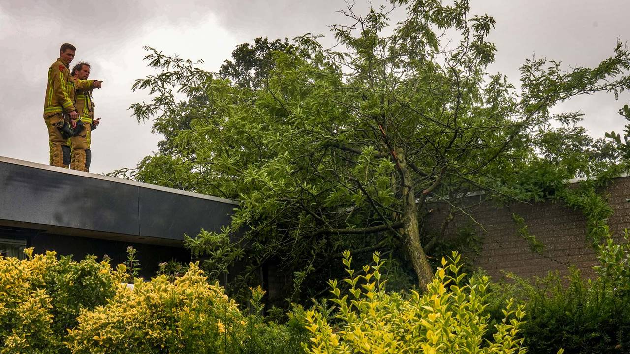 Foto: Harrie Grijseels/SQ Vision