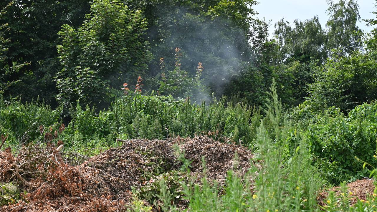 Foto: Perry Roovers / SQ Vision