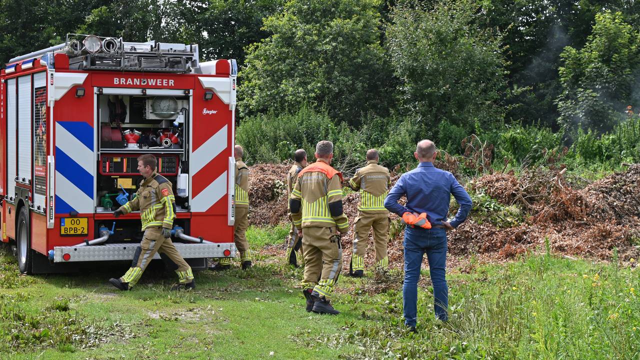 Foto: Perry Roovers / SQ Vision