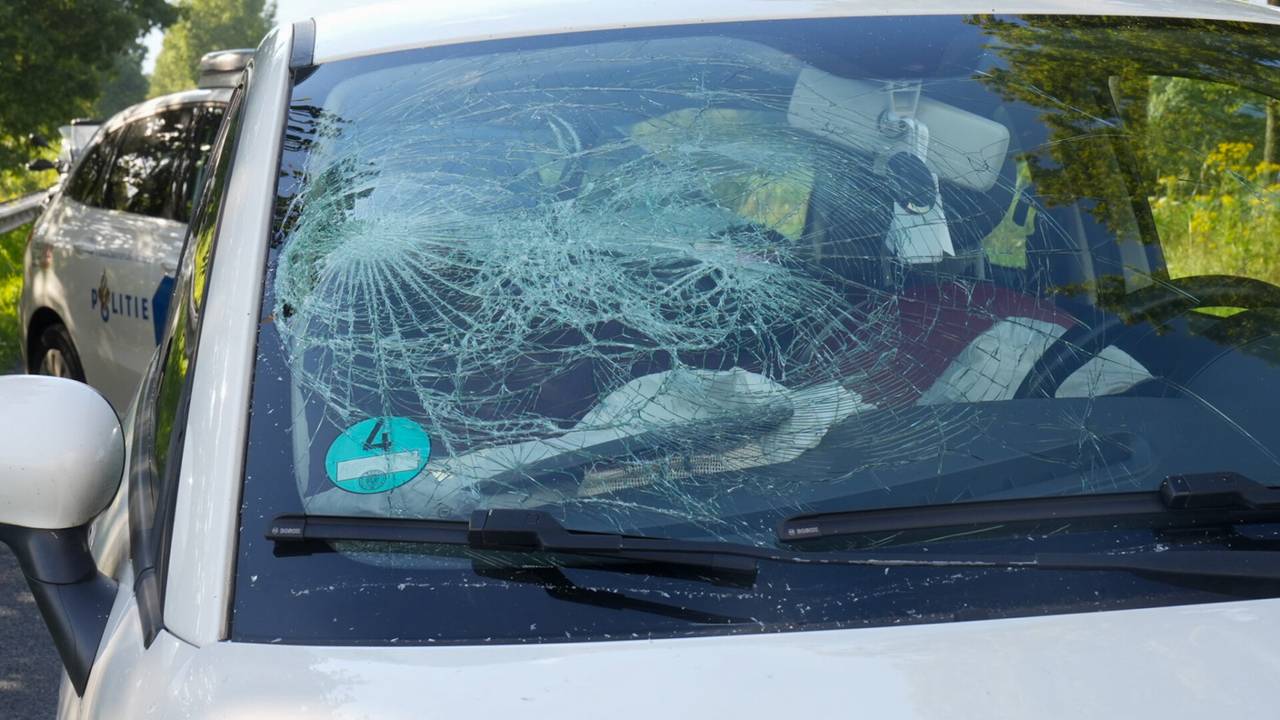 Foto: Harrie Grijseels / SQ Vision