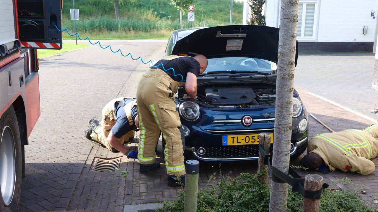 Foto: Sander van Gils/SQ Vision.