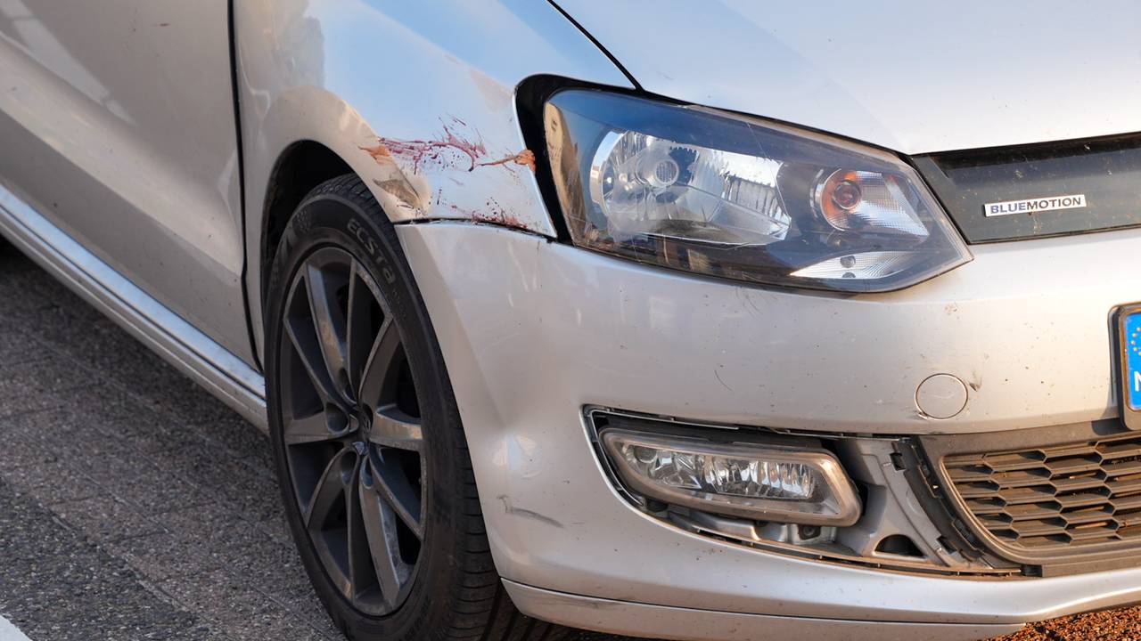 foto: Gabor Heeres/SQ Vision. 