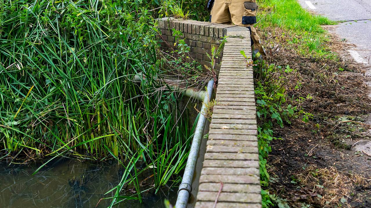 foto: Gabor Heeres/SQ Vision. 