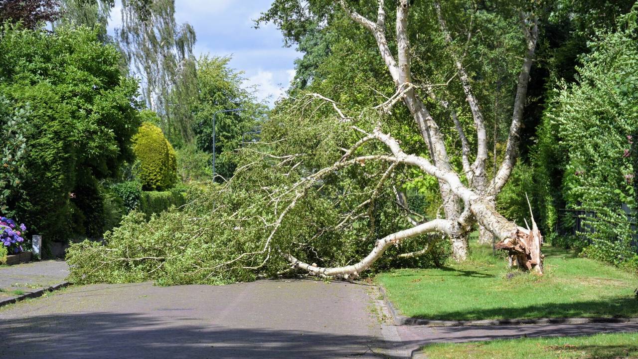 Foto: Tom van der Put/SQ Vision