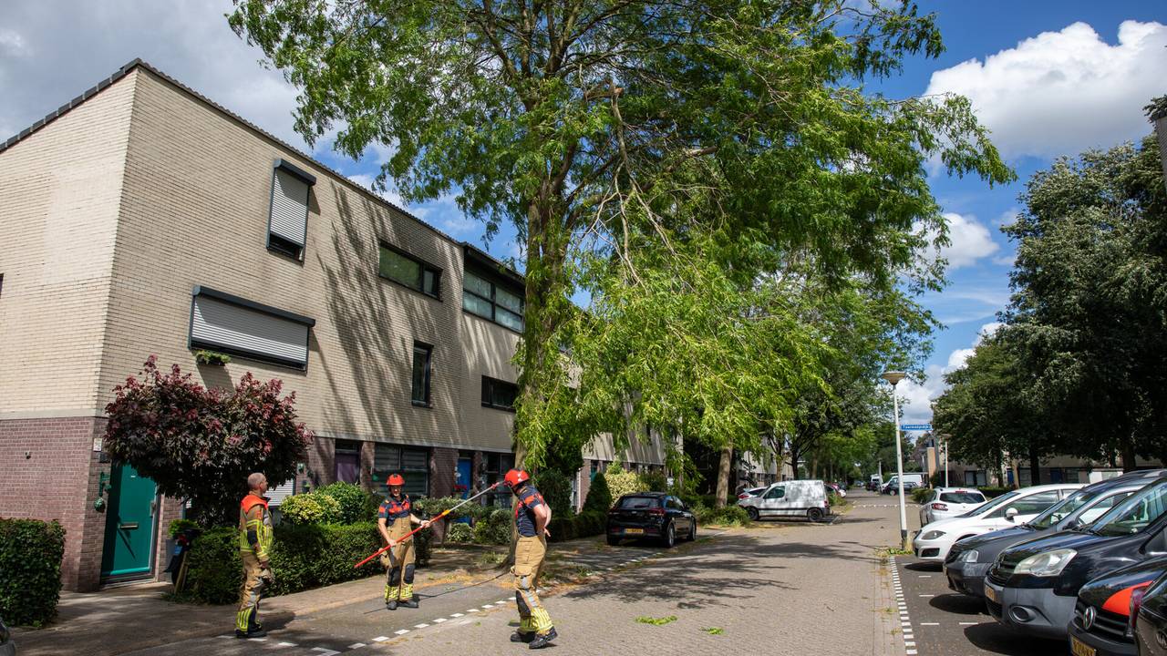 Foto: Christian Traets/SQ Vision