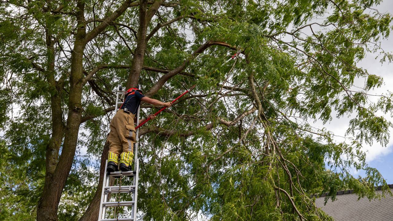 Foto: Christian Traets/SQ Vision