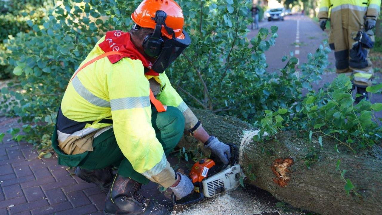 Foto: Bart Meesters/SQ Vision