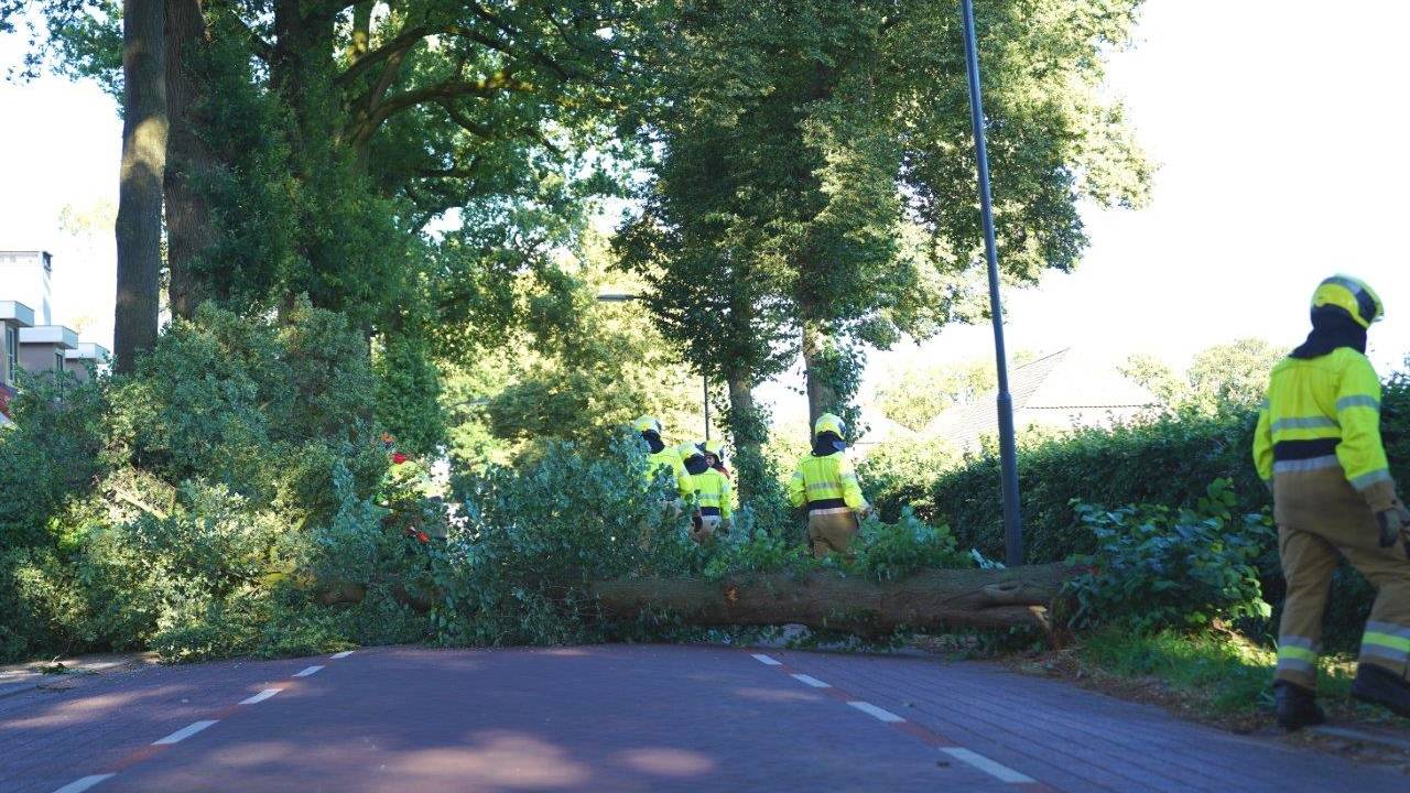 Foto: Bart Meesters/SQ Vision