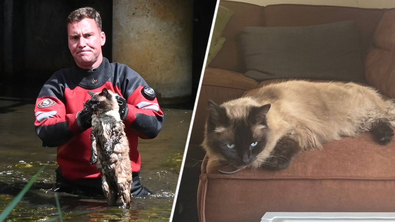 Foto: SQ Vision / Cor van Dongen