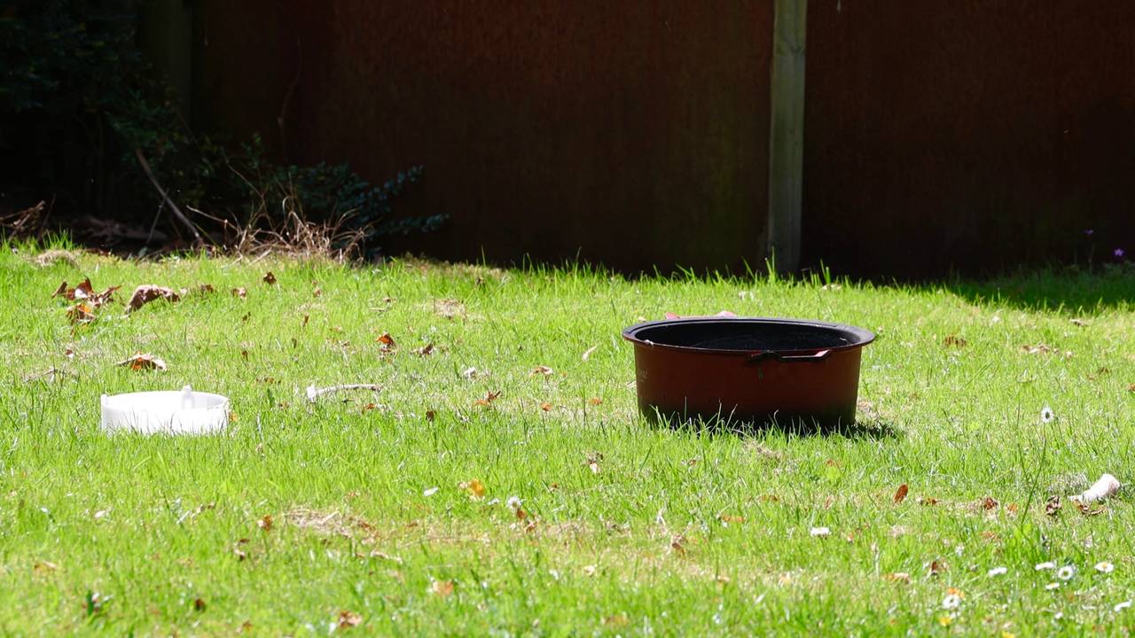 Foto: Sander van Gils/SQ Vision.