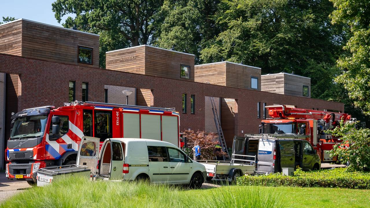 Foto: Iwan van Dun/SQ Vision.