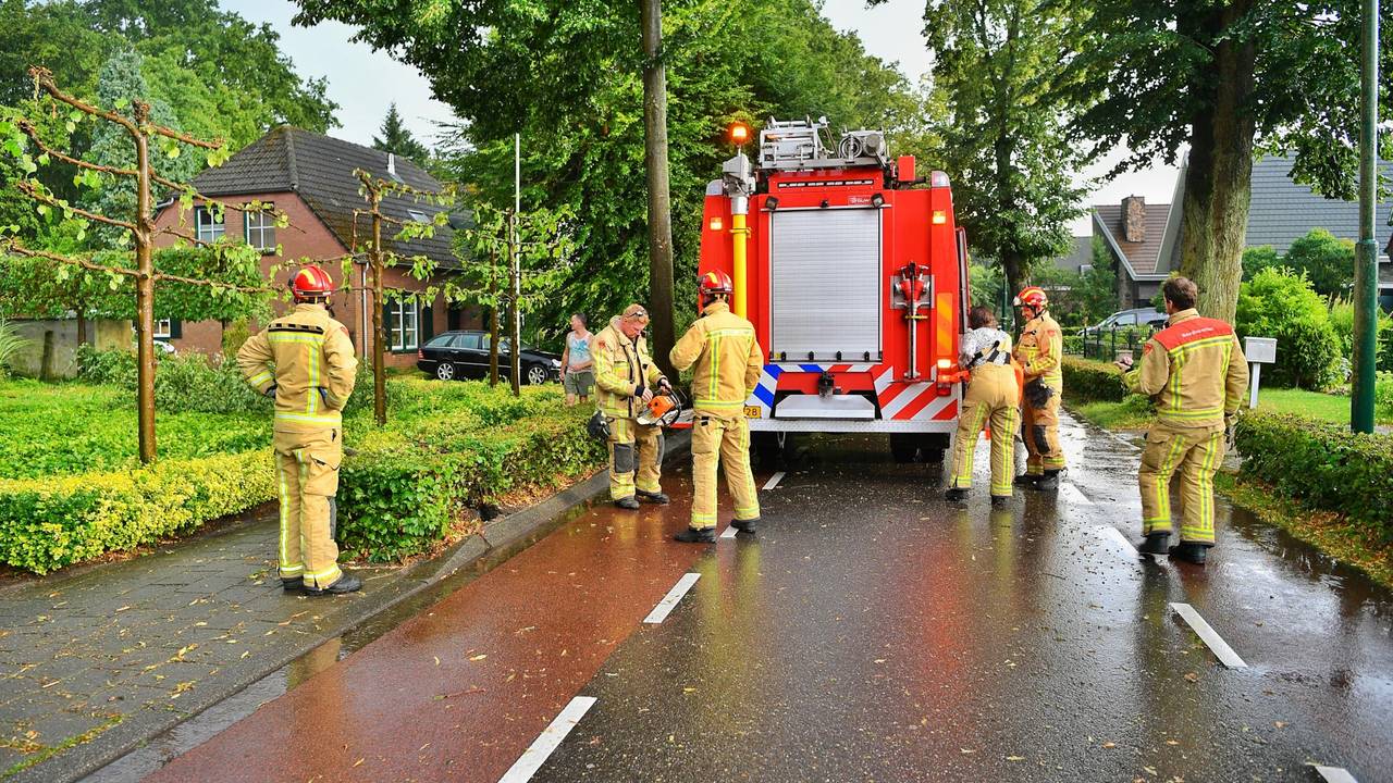 Foto: Rico Vogels/SQ Vision. 