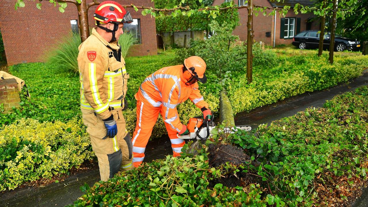 Foto: Rico Vogels/SQ Vision. 