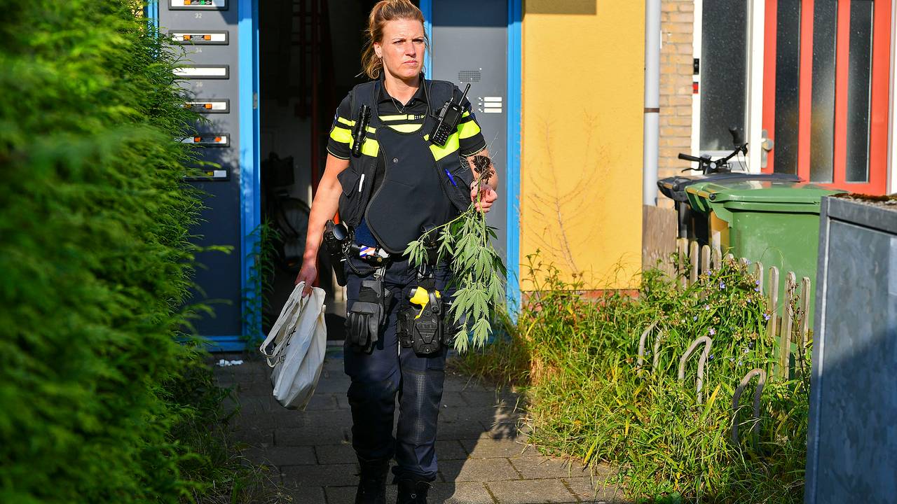 Foto: Rico Vogels/SQ Vision. 