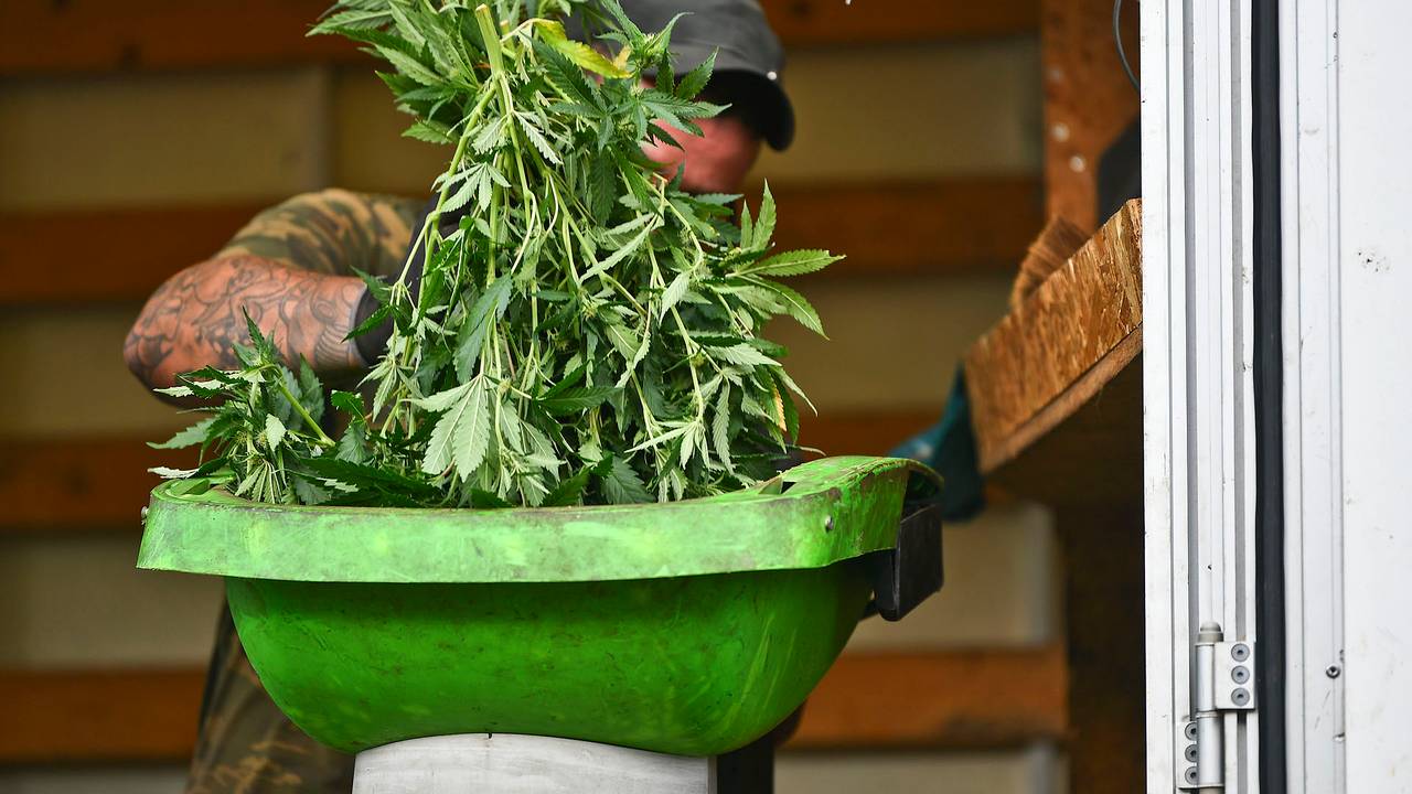 Foto: Rico Vogels/SQ Vision.