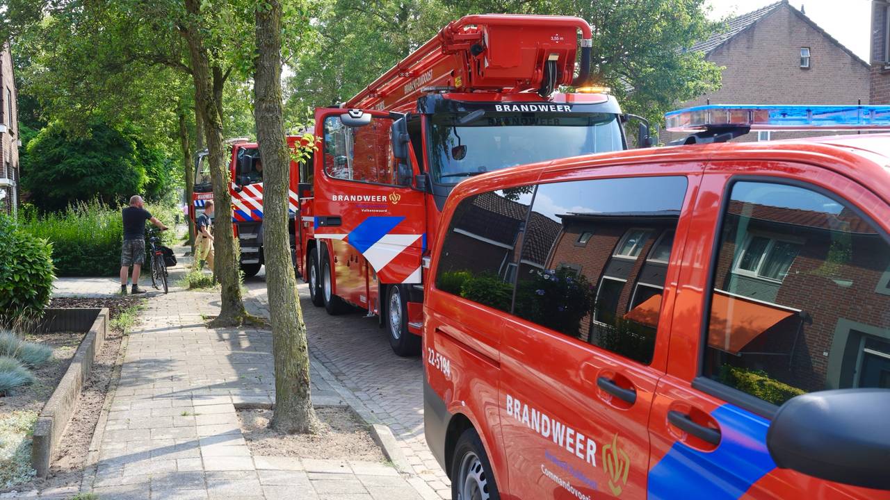 Foto: Sander van Gils/SQ Vision.