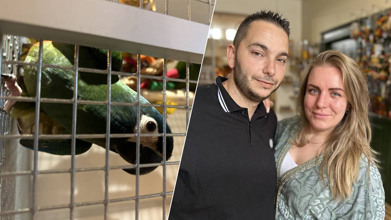 Murat en Ashley in hun speciaalzaak (foto: Floortje Steigenga)