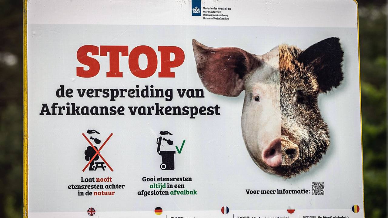 Een bord op de Veluwe waarmee wordt gewaarschuwd om verspreiding van de Afrikaanse varkenspest te voorkomen (foto: ANP).