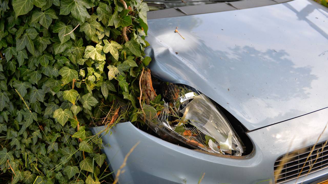 Foto: Walter van Bussel/SQ Vision.