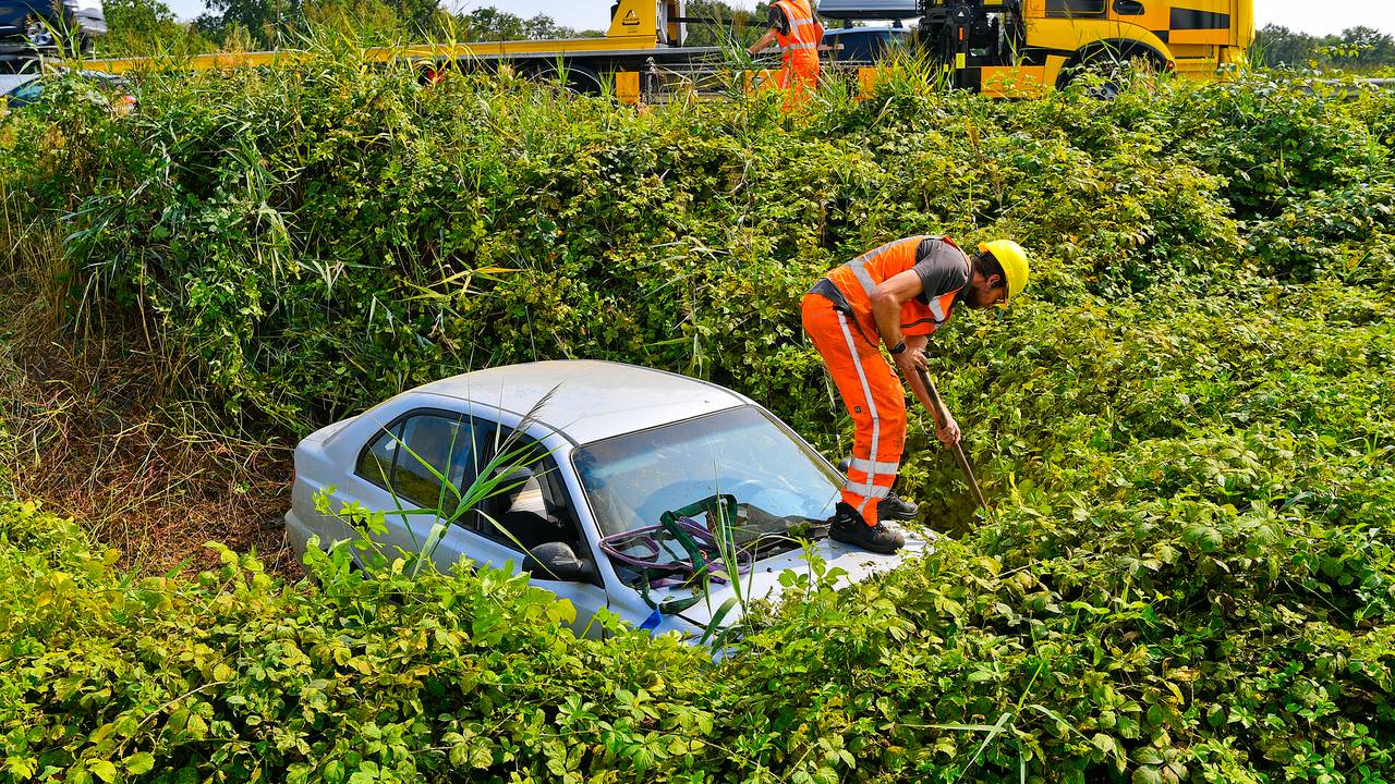 Foto: Rico Vogels/SQ Vision