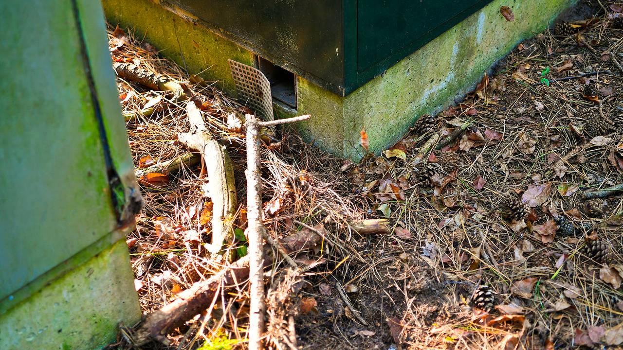 Stroom voor de kwekerij werd afgetapt uit een stroomhuisje (foto: SQ Vision/Rico Vogels).