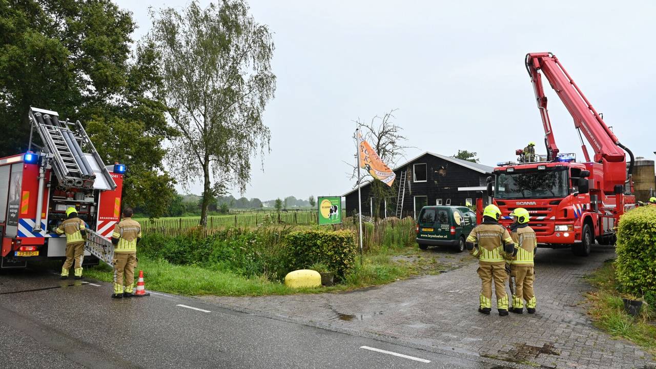 Foto: Toby de Kort/SQ Vision